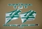 Preview: Suzuki Hayabusa 1999-2007 - Reflective Green - Custom-Sticker-Decals
