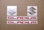 Preview: Restoration Sticker for Suzuki Gladius 2012 in Titangrey Version