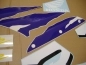 Preview: Honda CBR 919RR 1998 with Red/Purple Vinyl-Sticker