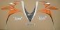 Preview: Restauration Aufkleber-Set für Honda CBR 1000RR 2010 in Orange/Silber