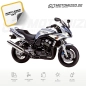 Preview: Yamaha FZS600 Fazer 2002 with Silver Motorcycle Decals