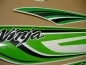Preview: Kawasaki ZX-6R 2011 - Grün - Aufkleber-Dekor