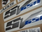 Preview: Suzuki SV 650 2009 with Silver Vinyl-Sticker