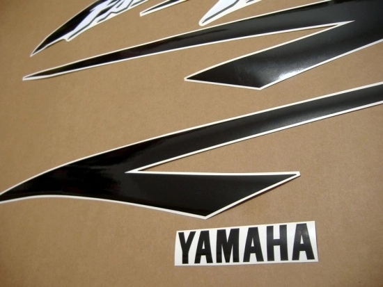 Yamaha FZS600 Fazer 2002 with Silver Vinyl-Sticker