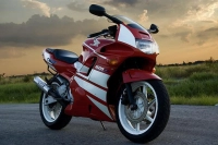 Honda CBR 600 F2 with Red/White Motorcycle Decals