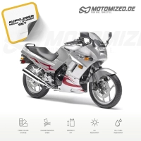 Kawasaki 250R Ninja 2007 with Silver/Chrome Red Motorcycle Decals