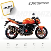 Kawasaki Z1000 2004 with Orange Motorcycle Decals