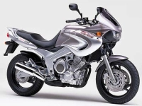 Yamaha TDM 850 2000 with Silver/Grey Motorcycle Decals